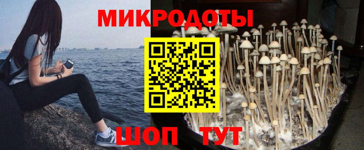 Галлюциногенные грибы мицелий  Вход с VPN  Добрянка 